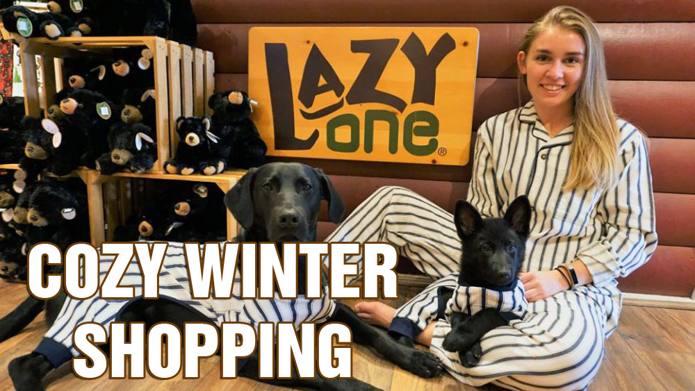 Cozy winter shopping at The Village Shops in Gatlinburg Tennessee