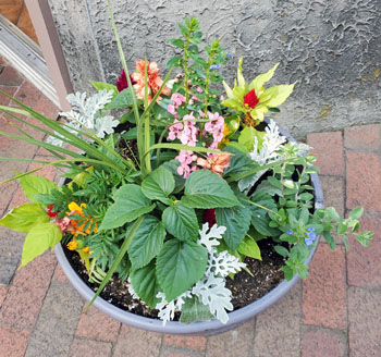 Half-Day Itinerary Gatlinburg Village Shops