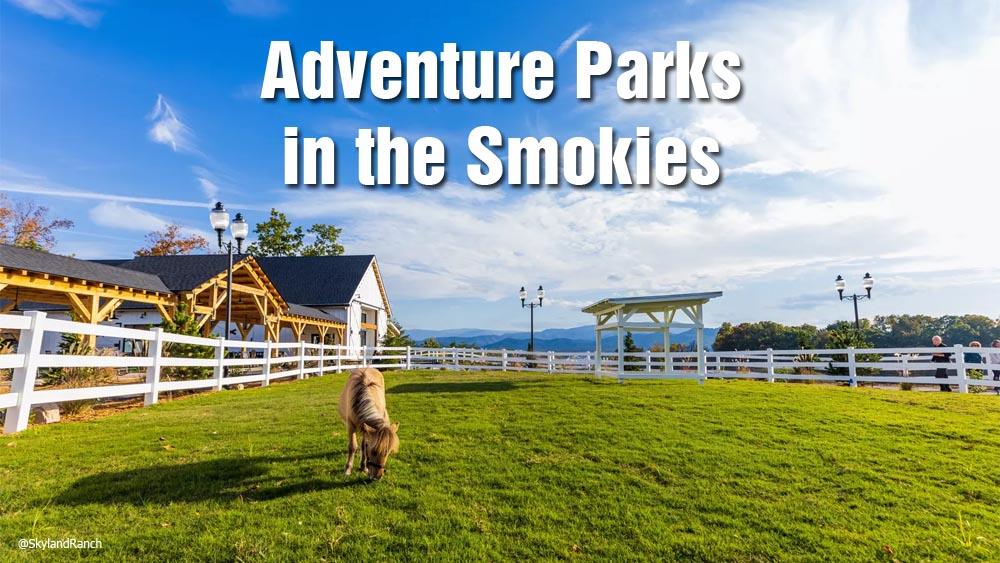 Adventure & Theme Parks Beyond Dollywood