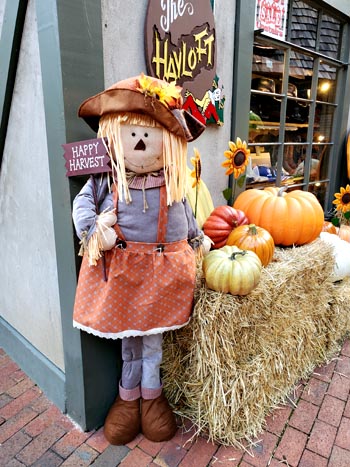 Best Fall Festivals in Pigeon Forge