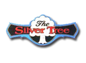 Best Shopping in Gatlinburg at The Silver Tree Jewelry Store in The Village Shops