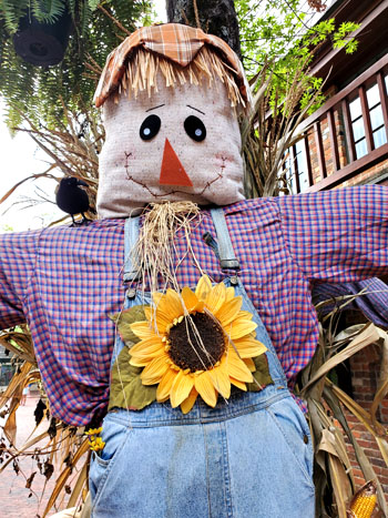 Magic of fall in the Smokies at The Village Shops