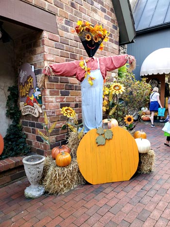 Best Fall Festivals & Events in the Smokies
