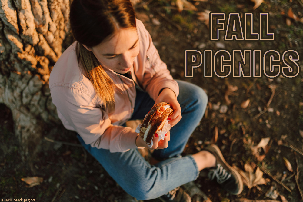 Fall Picnic Ideas for Autumn in the Smokies