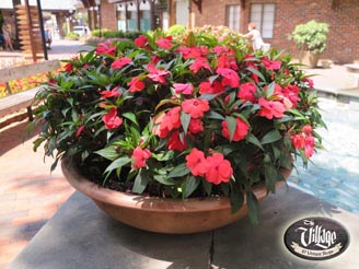 Seasonal Events in Gatlinburg TN