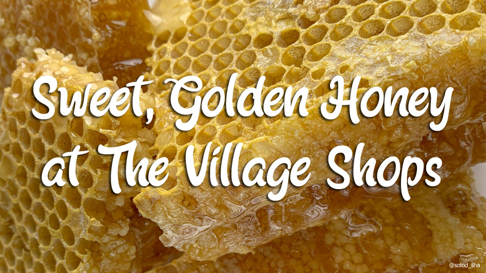 Local Honey, Honey Body Care Products, and Honey Gift Shops Gatlinburg