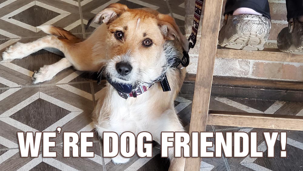Dog-Friendly Fun at The Village Shops in Gatlinburg
