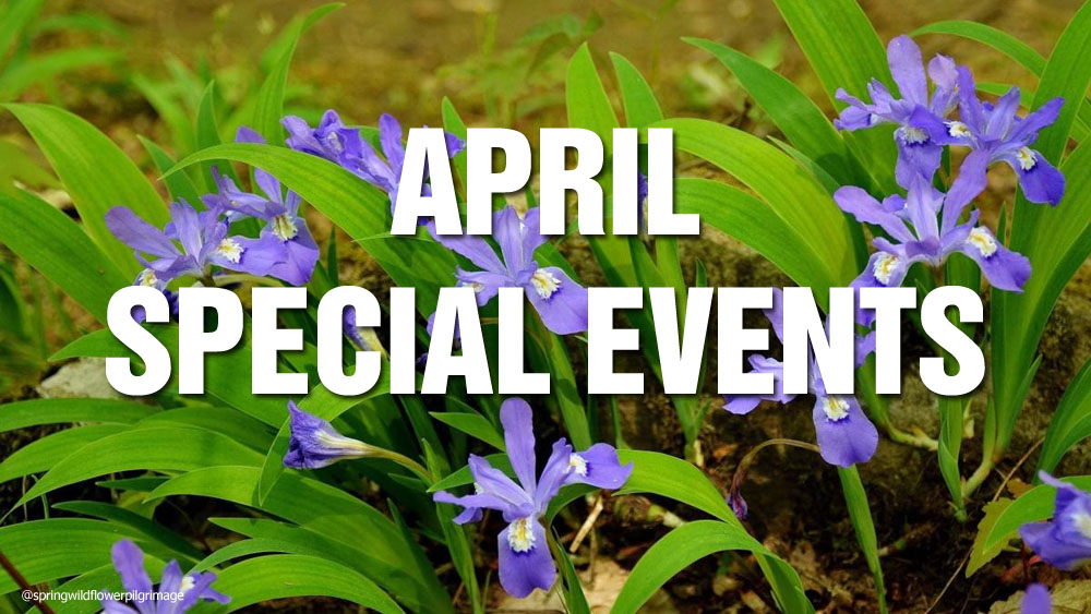 April Events and Things to Do in Gatlinburg and Pigeon Forge